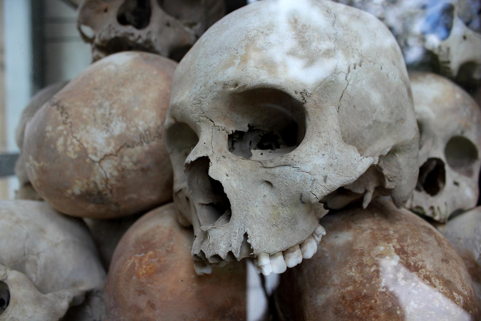 Do you believe farmers in South Africa are experiencing genocide?
