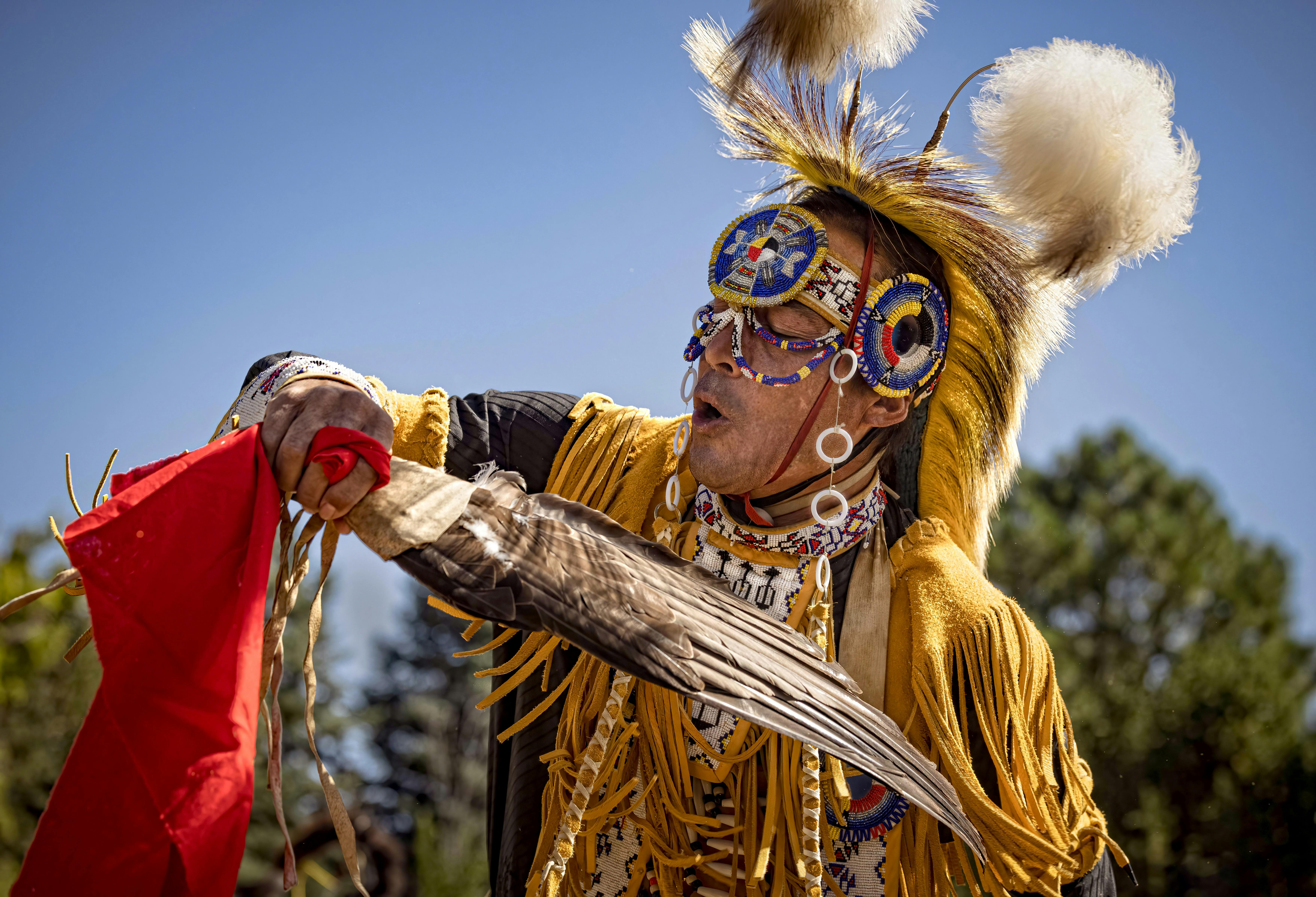Do you think globalization is wiping out indigenous cultures?