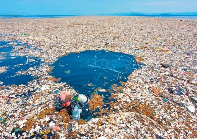 Have you ever heard of the Great Pacific Garbage Patch?
